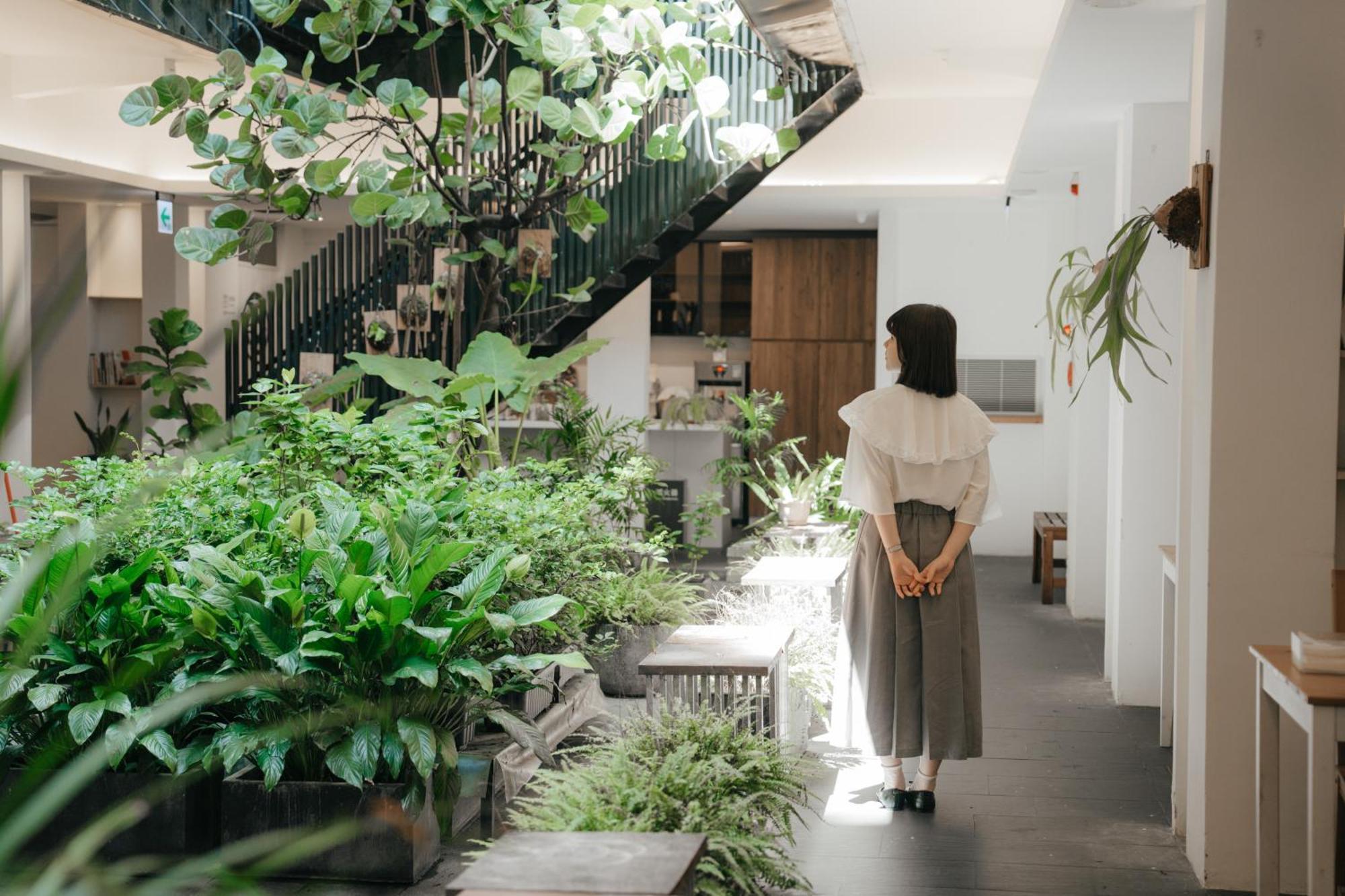 Norden Ruder Hostel Taitung المظهر الخارجي الصورة